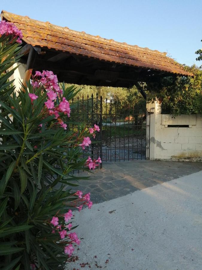 Xaroula Apartments Ierissos Bagian luar foto